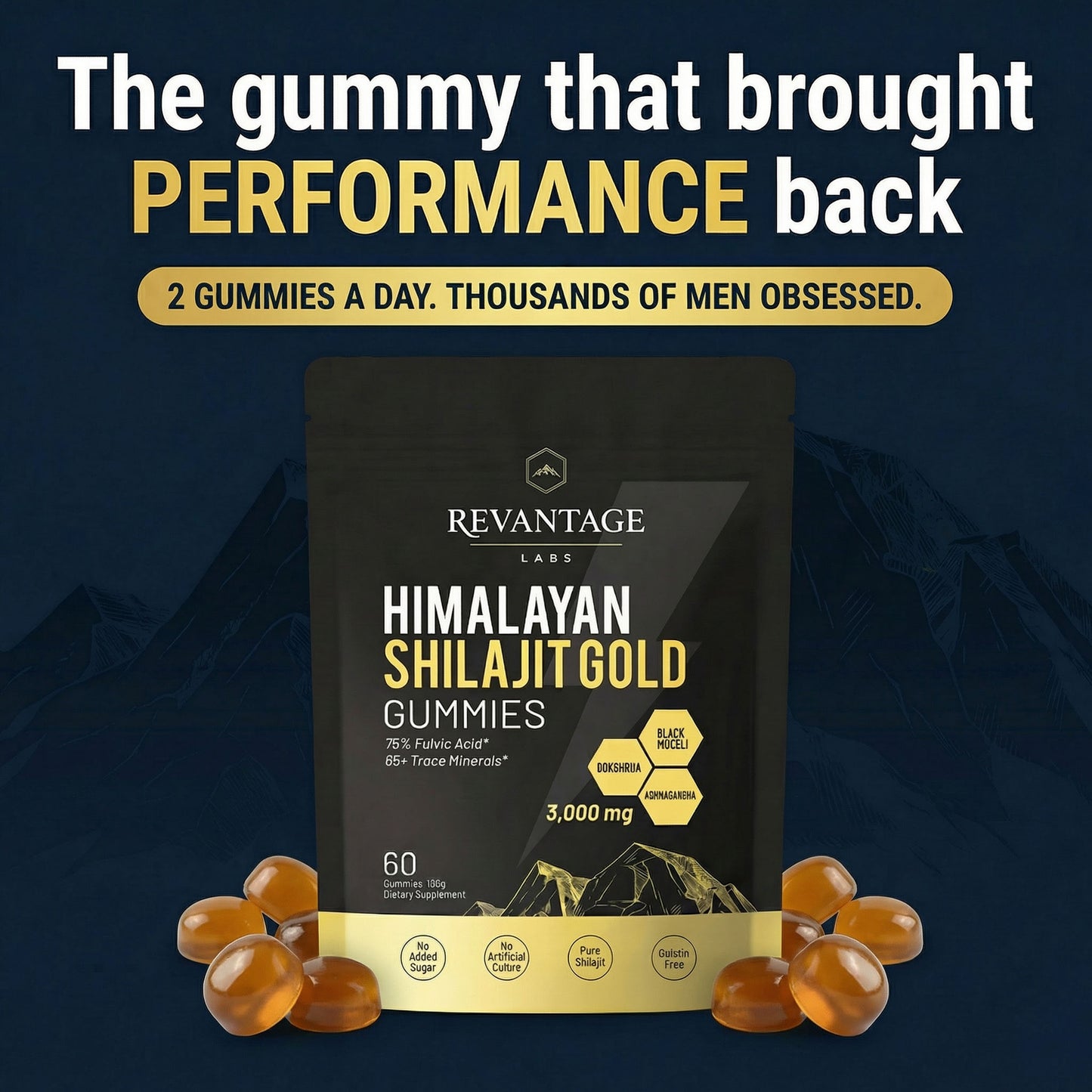 Himalayan Shilajit Gold Gummies